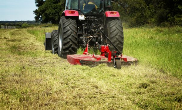 Brush Clearing Service in Merrillville