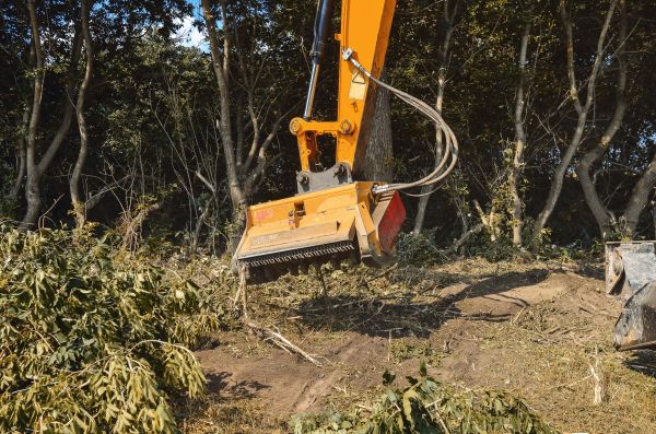 Brush Removal Service in Merrillville