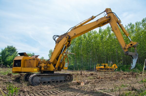 Farm Clearing in Merrillville