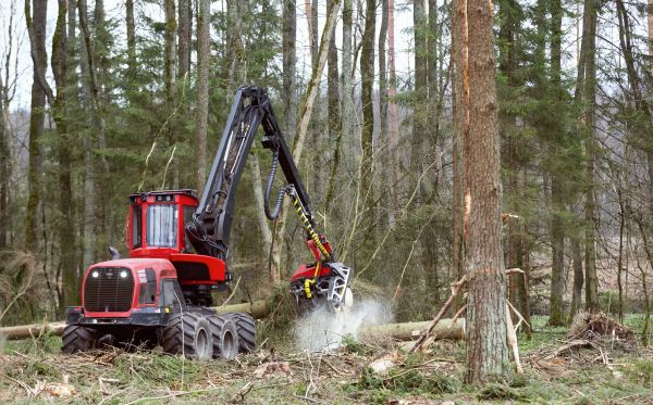 Forest Clearance Service in Merrillville