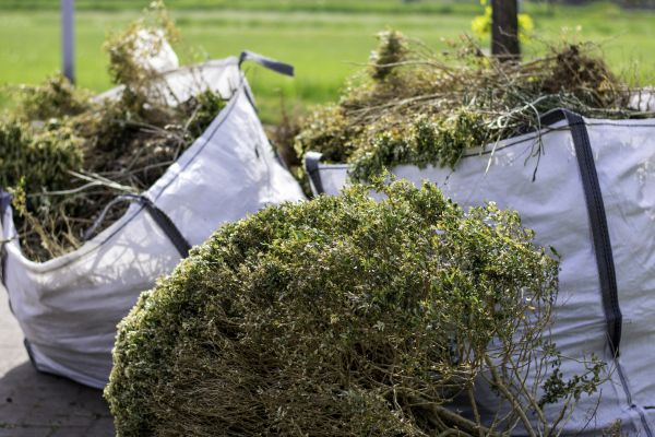 Cost of Bushes Clearing in Merrillville