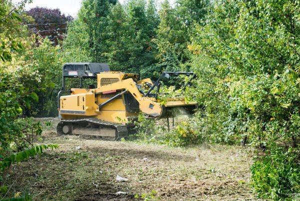 Pathway Clearing in Merrillville