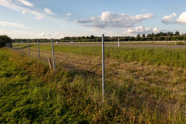 Property Line Clearing in Merrillville