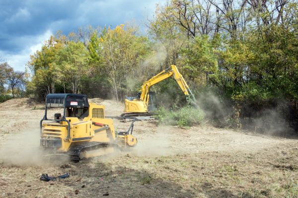 Terrain Clearing in Merrillville