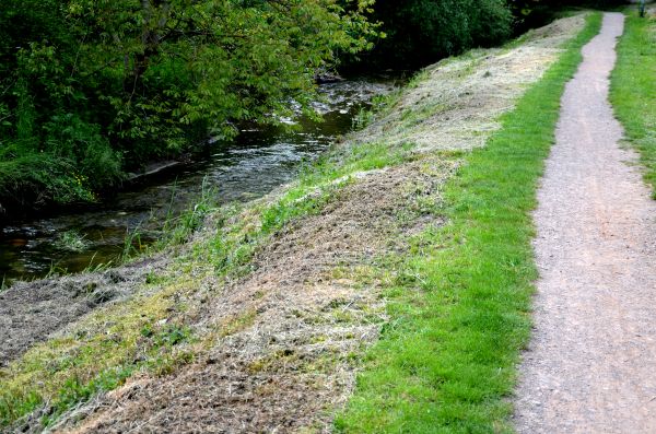Trail Cutting in Merrillville