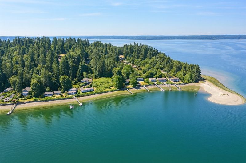 Waterfront Land Clearing