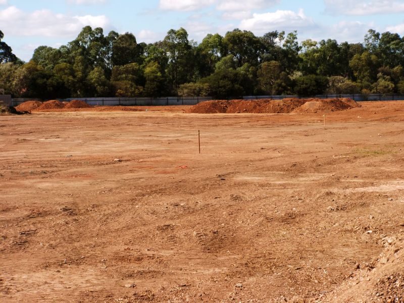 Local Landscaping Companies